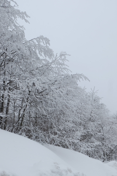 Kartepe, Kocaeli☃️