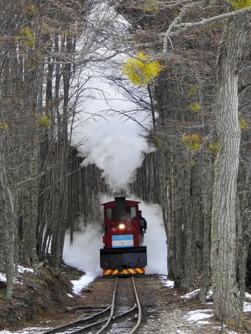 Tren del fin del mundo. Parque Nacional Tierra del Fuego.