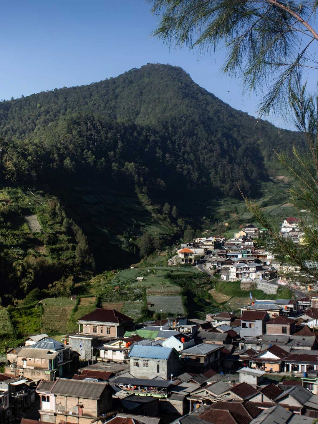 Wisata Wonomulyo
