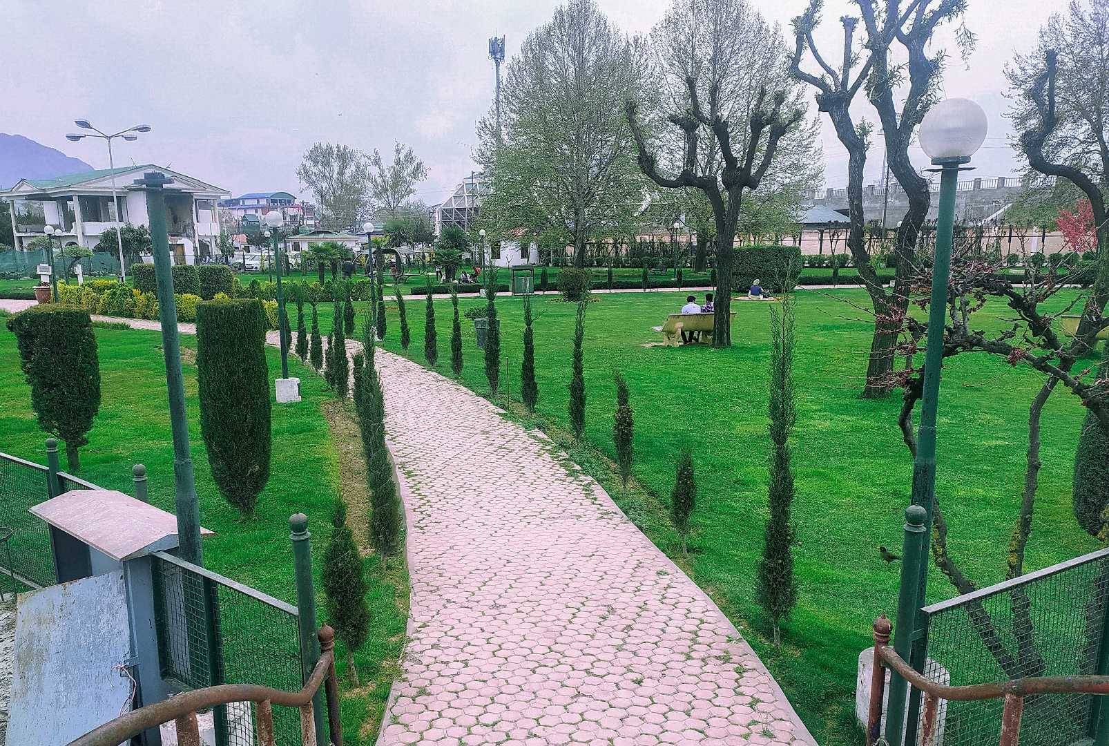 Nature 