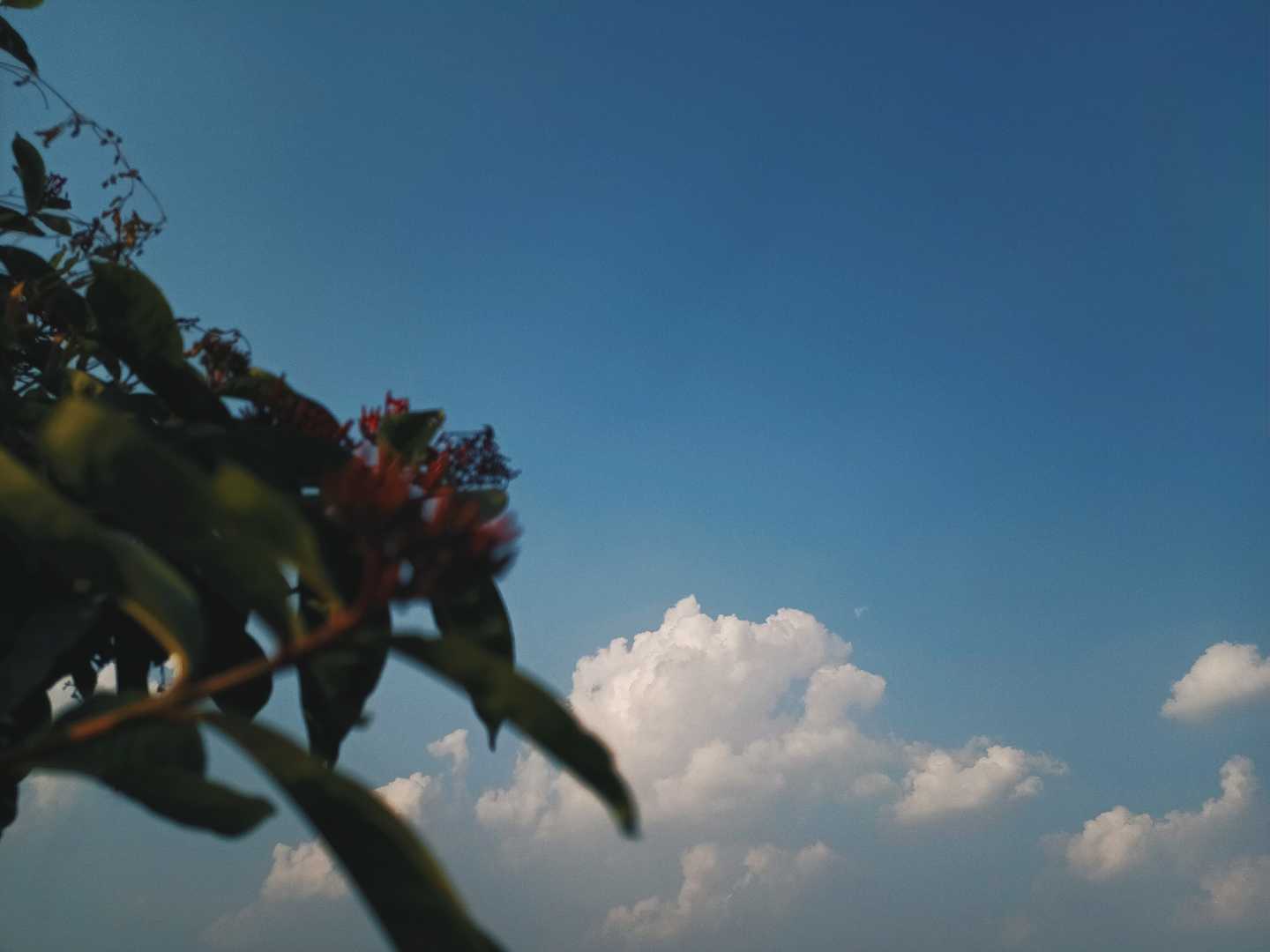 ☁️ 