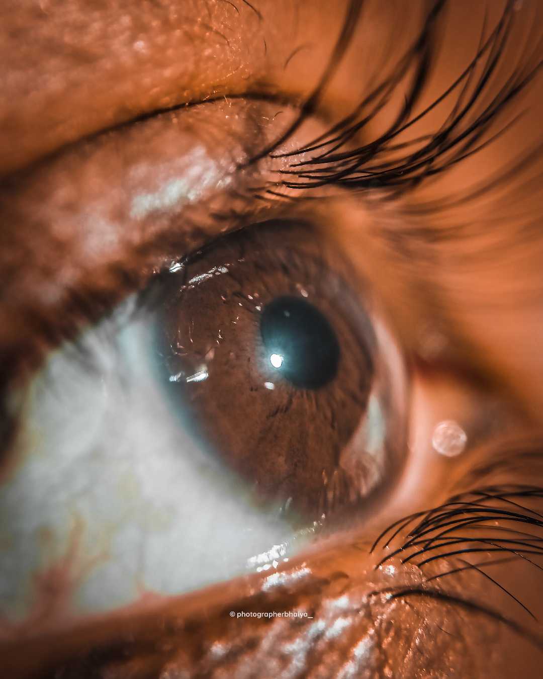 eyes 