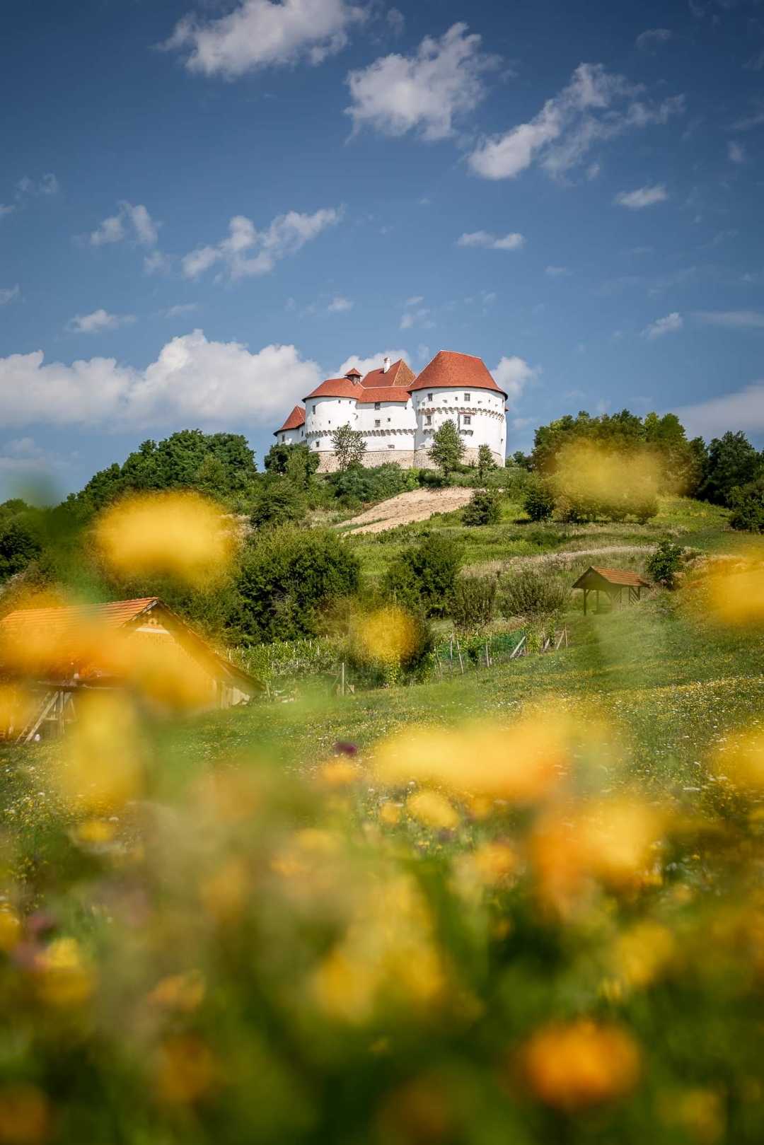 Veliki Tabor