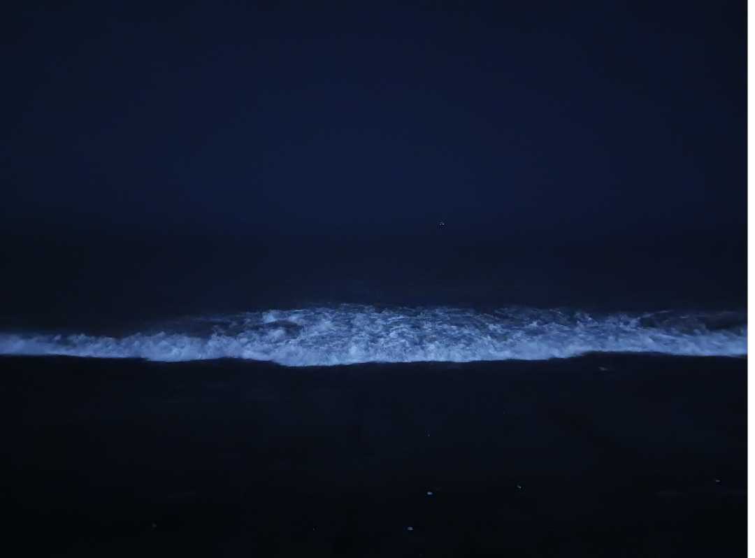 Night sea ⛵