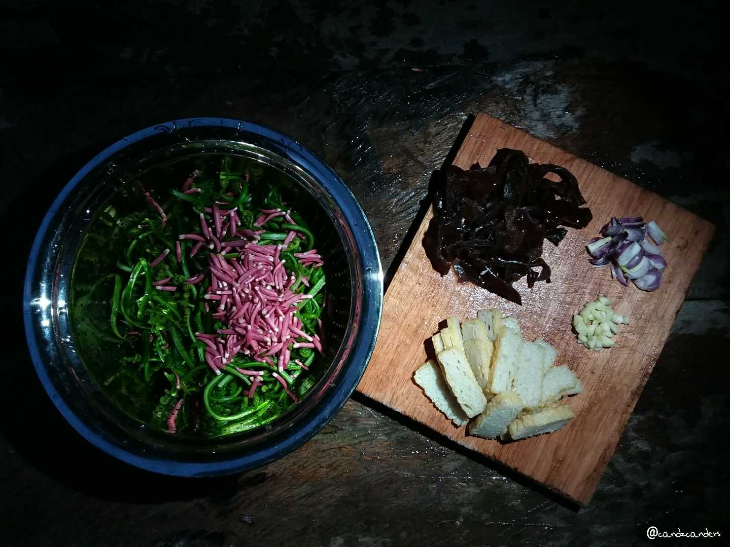 Jungle Delicacies 🌿