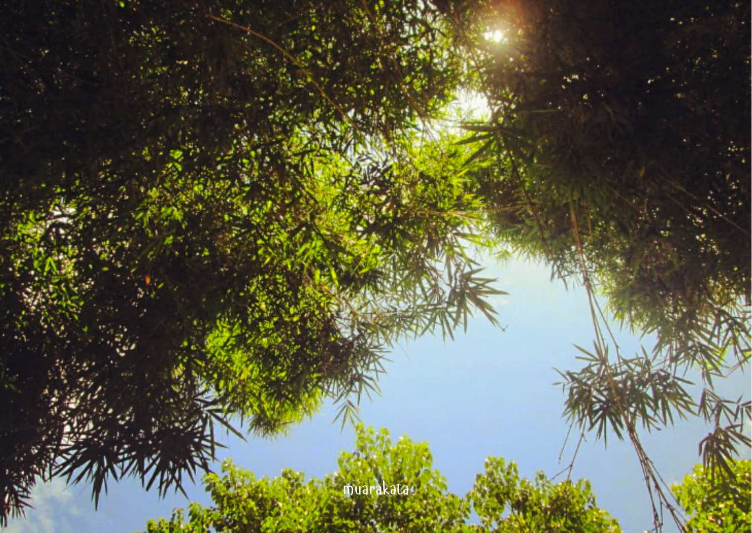 Langit Biru