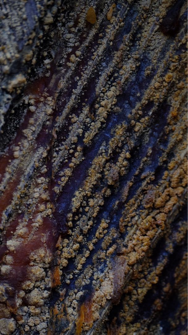 Resin🌲
