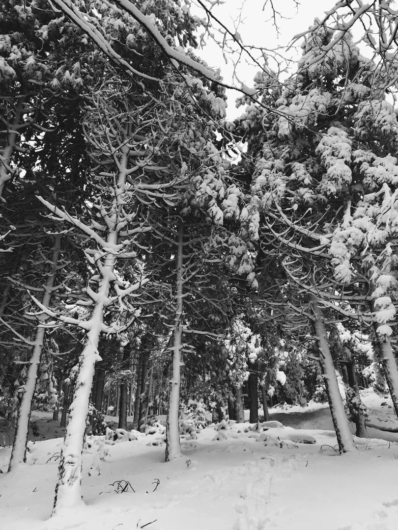 endless whiteness