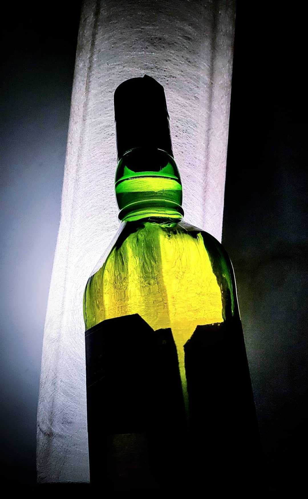 sit back and enjoy