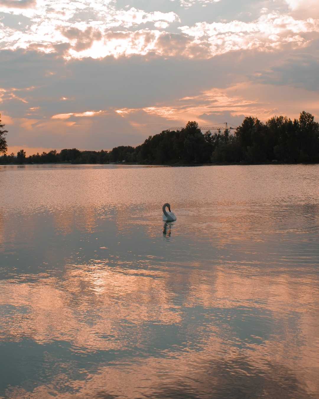 Zaprešić lake 🦢
