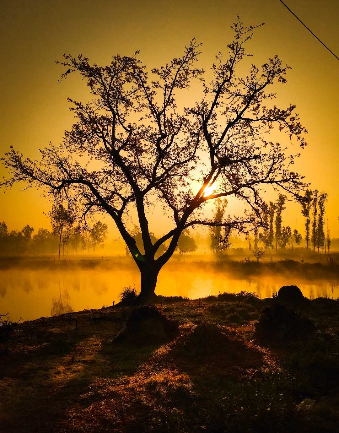 early morning 