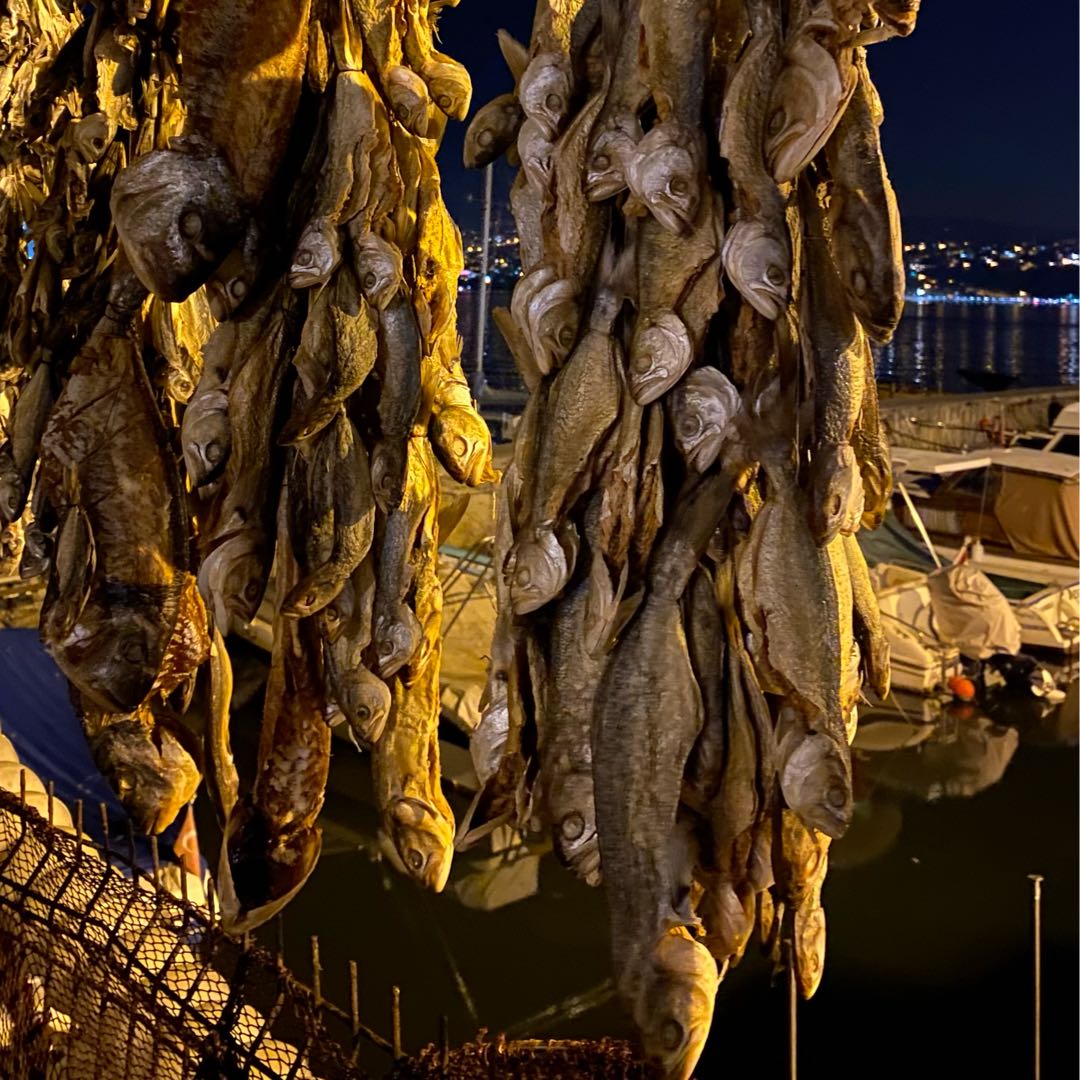 Dried fish 🎣 