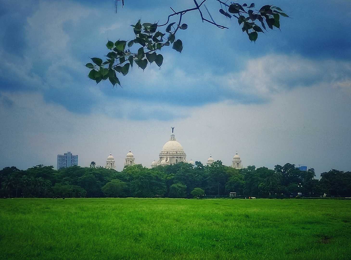 Gorer math: Lungs of Kolkata🌻