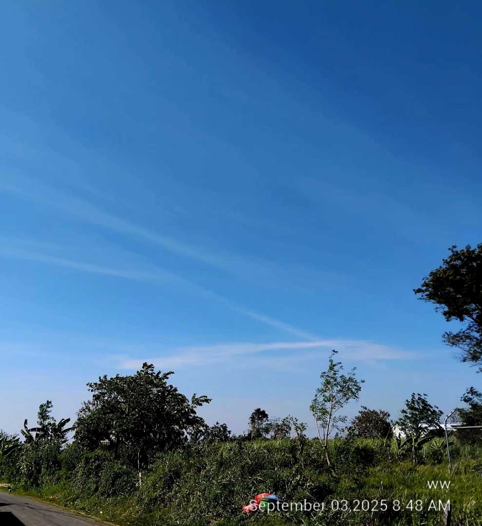 Langit pagi