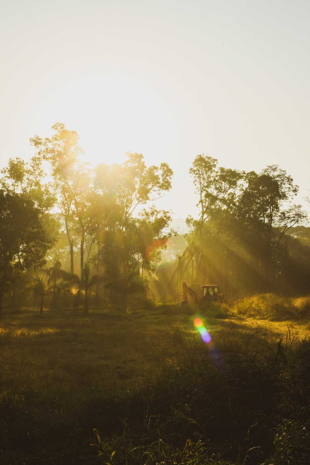 Perfect Winter mornings