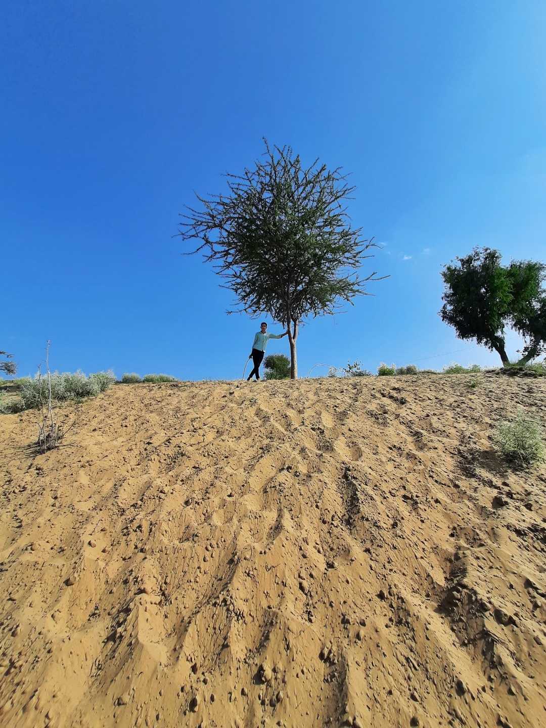 thar desert 