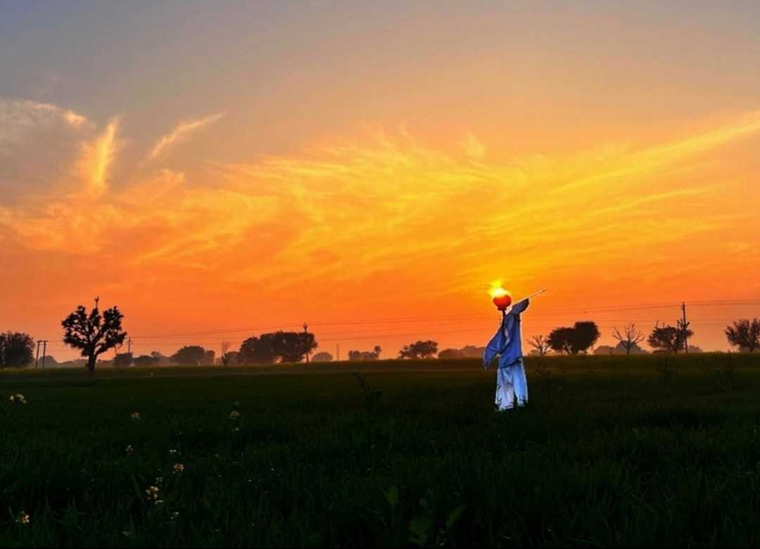 scarecrow 🌄