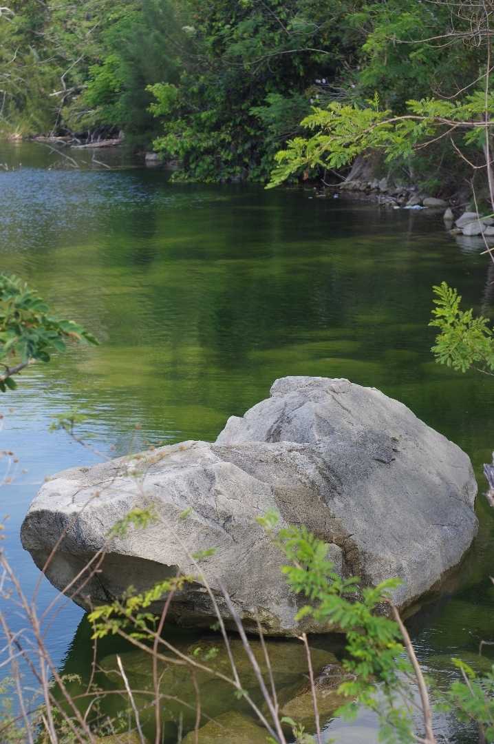 Shiralad
