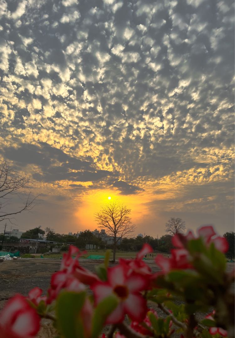 sunset 🧡💛
