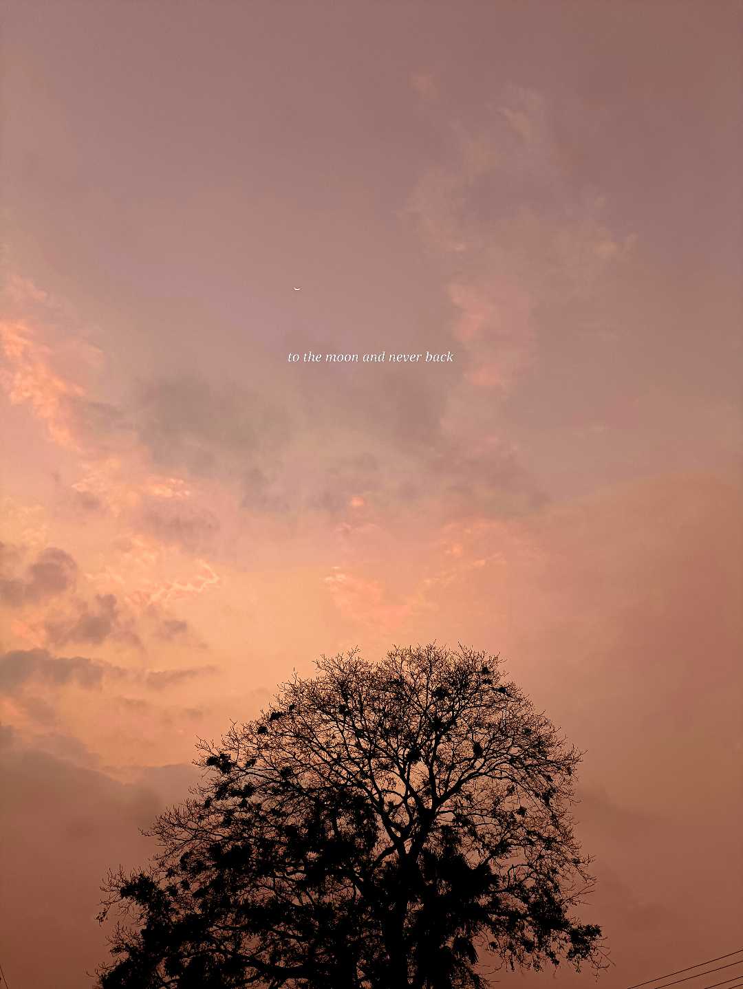 ✨