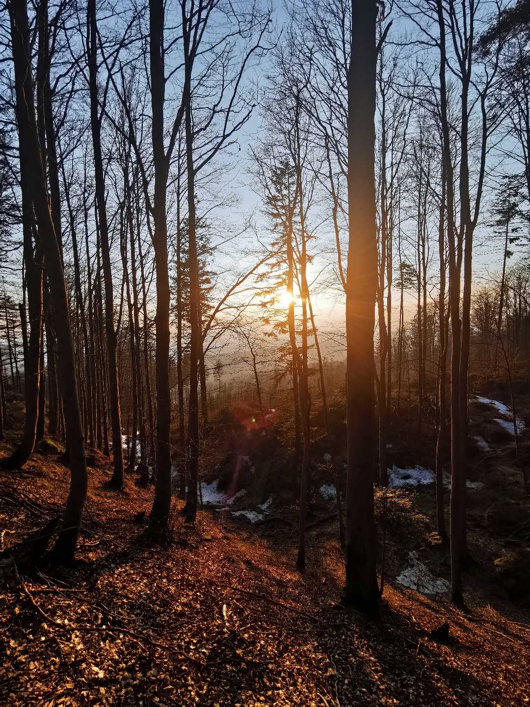 Kotarz, Brenna
