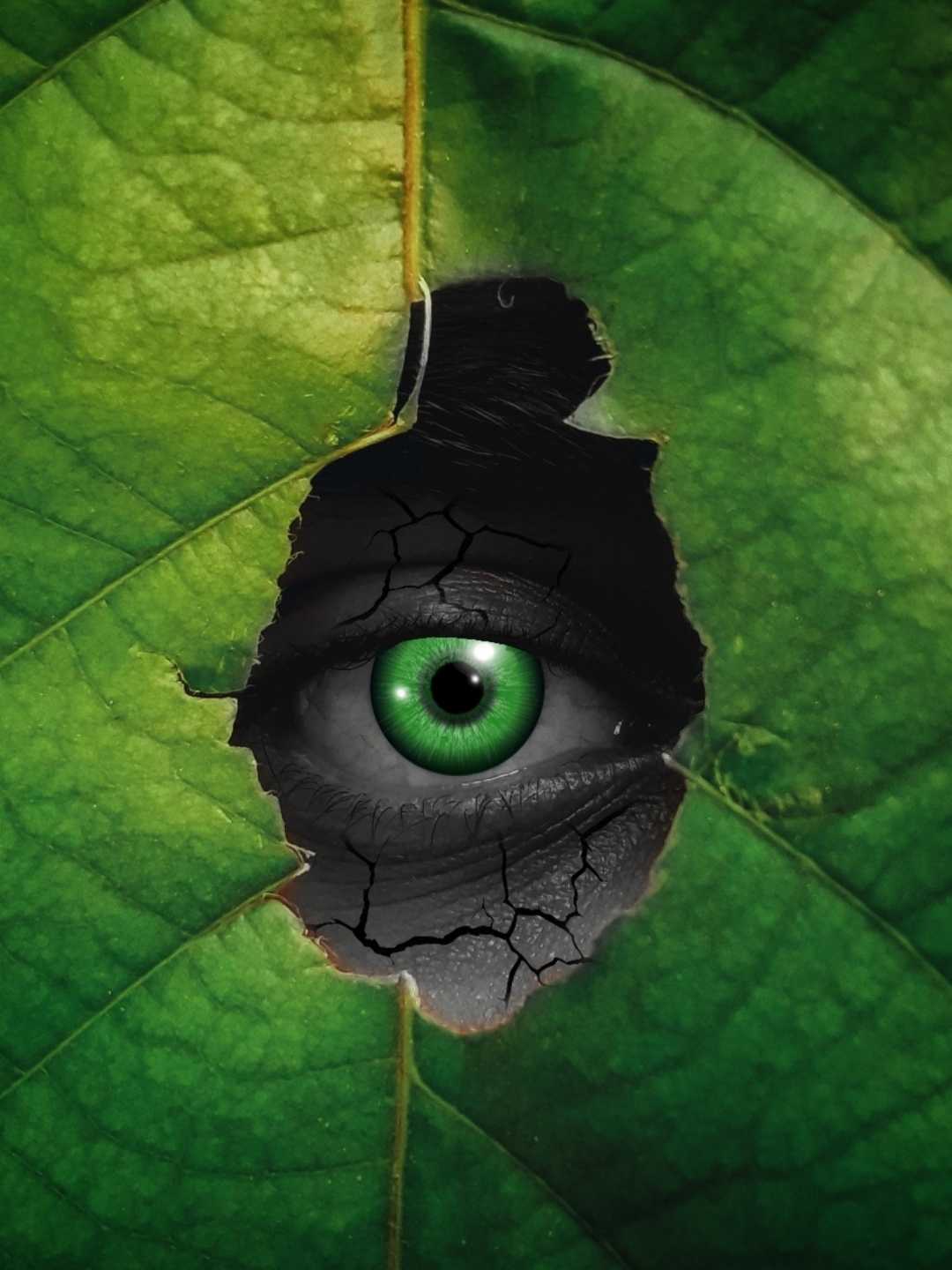 Photo manipulation