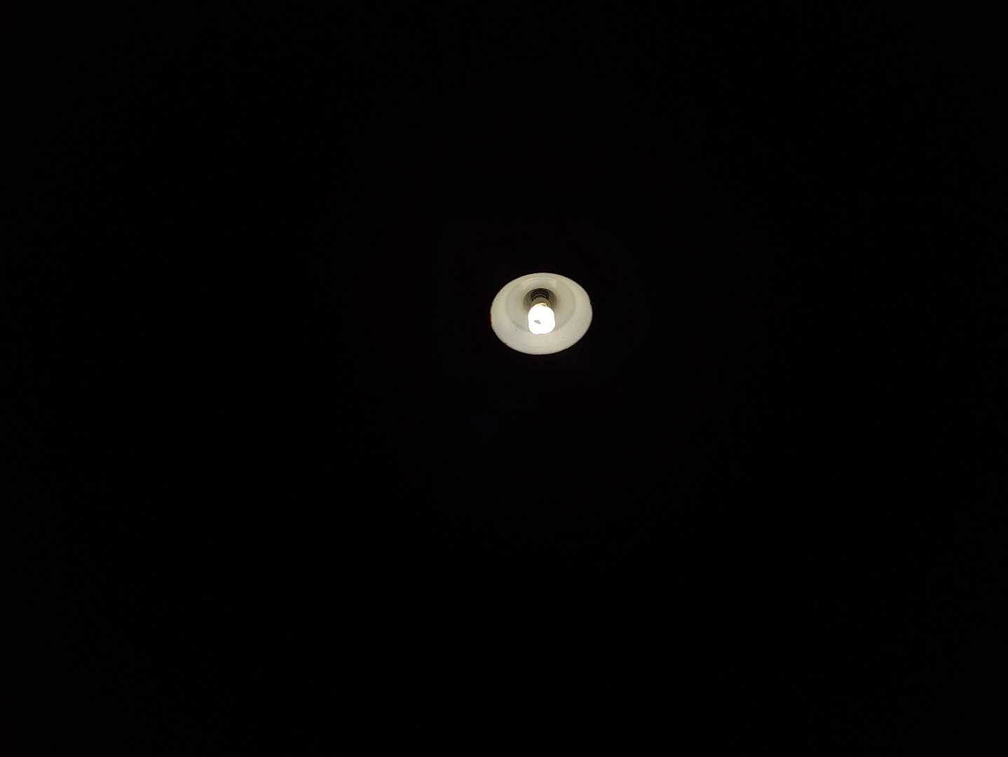 light in the Dark