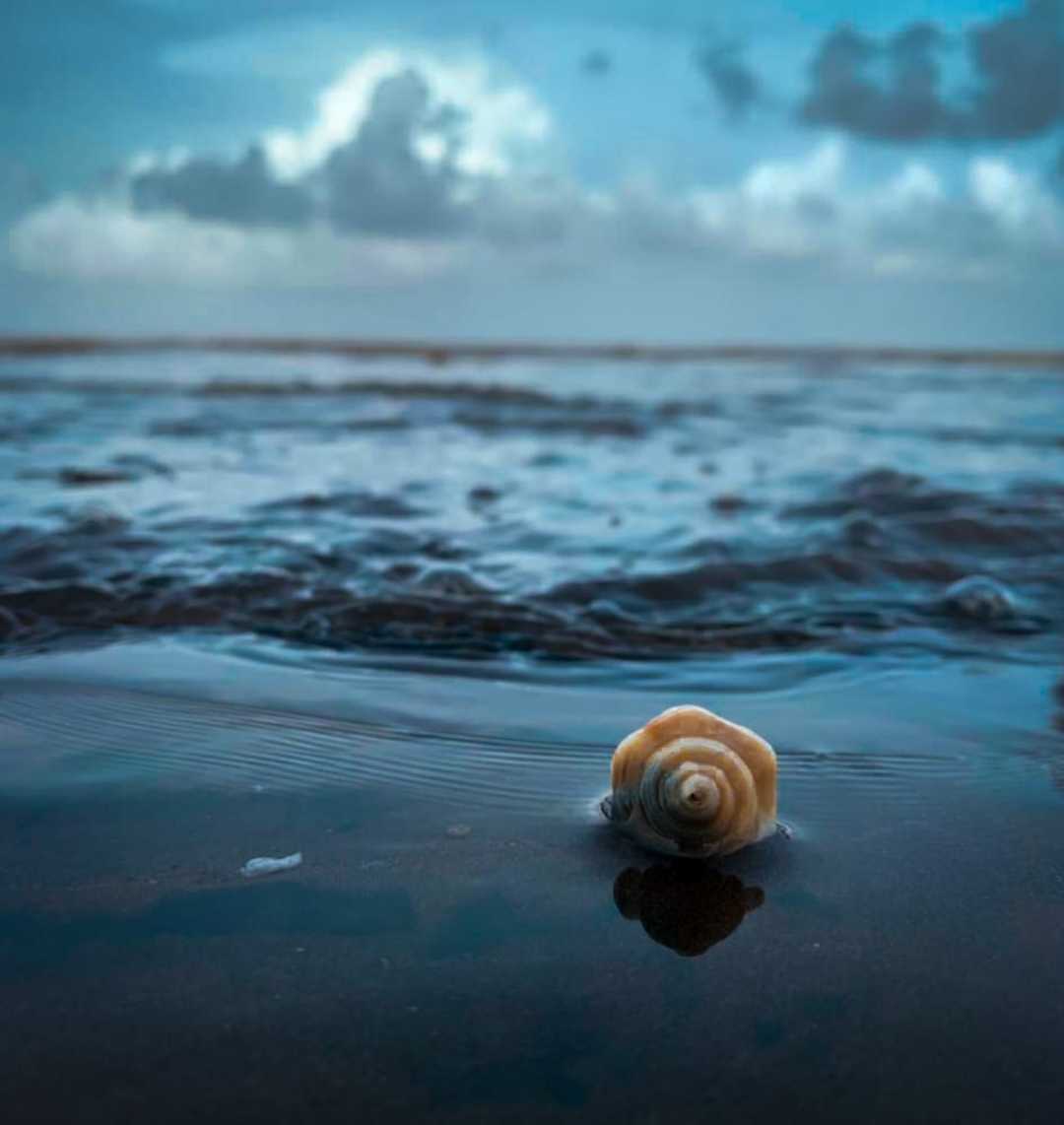 sea side 🌊