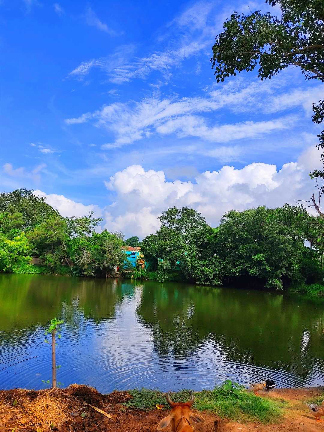 প্রকৃতি