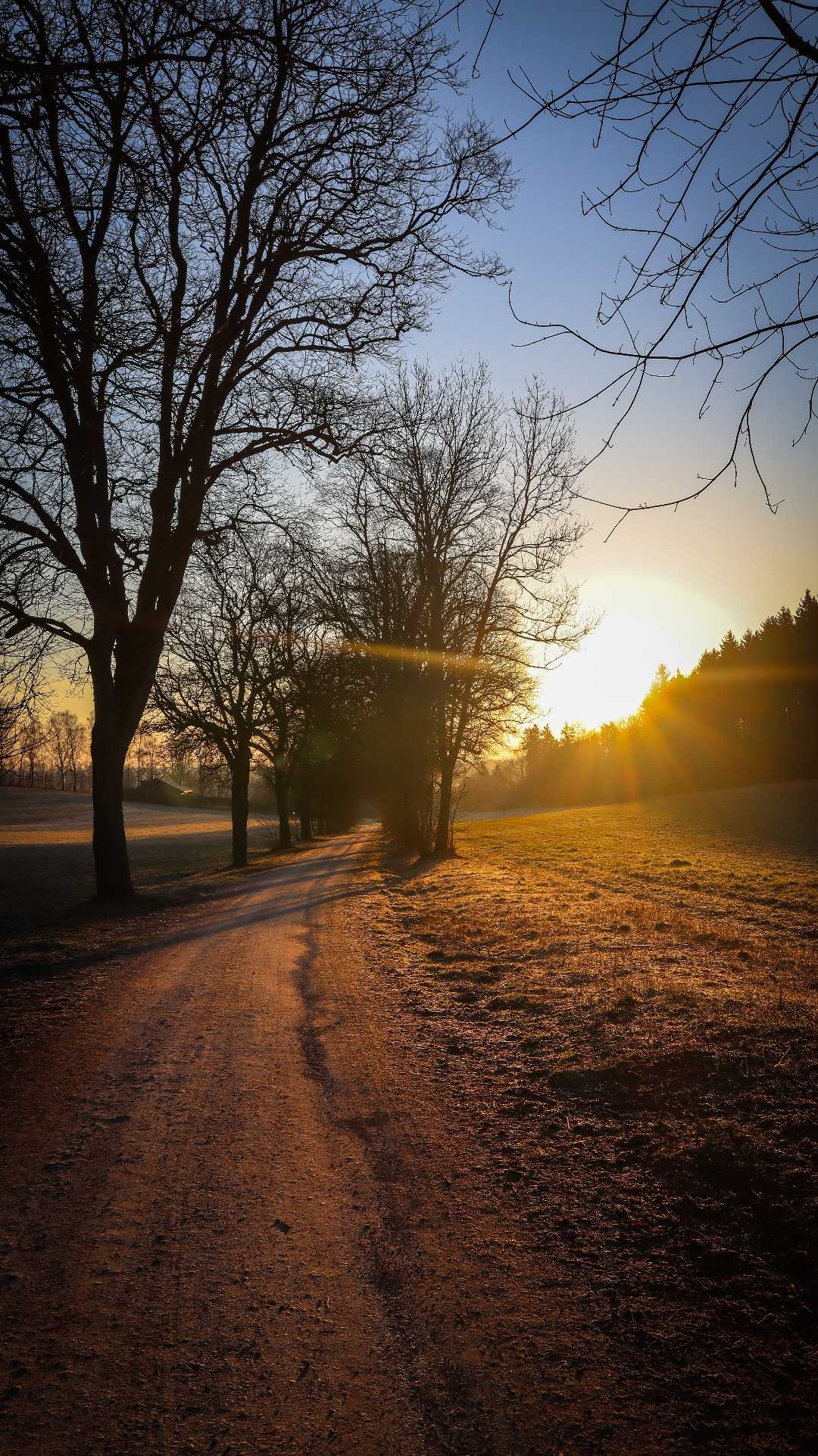 Simply nature... 