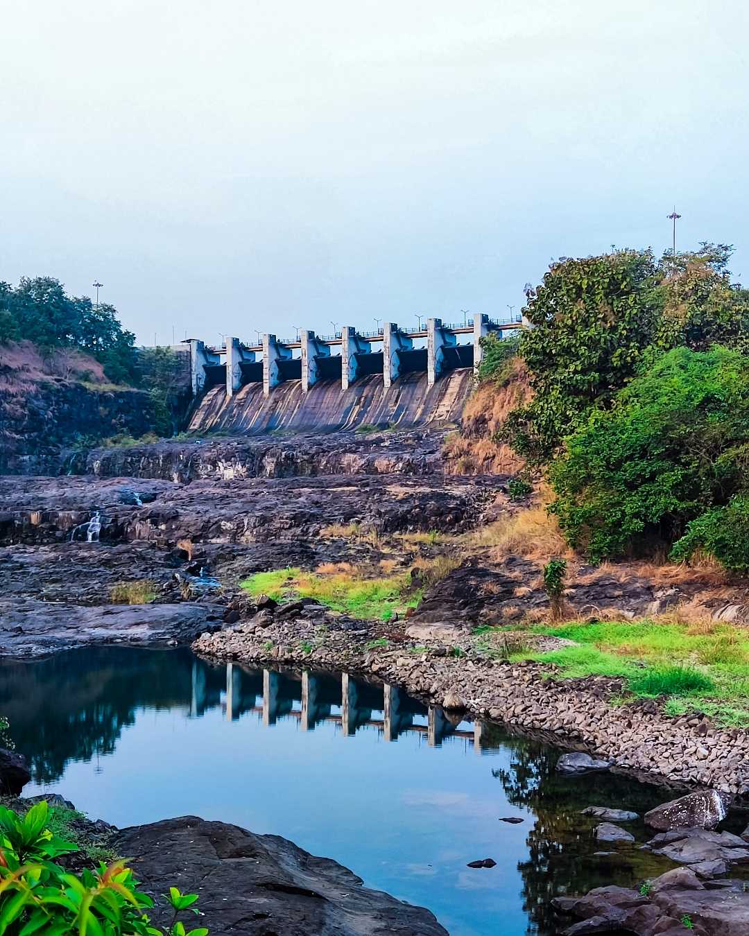 DAM