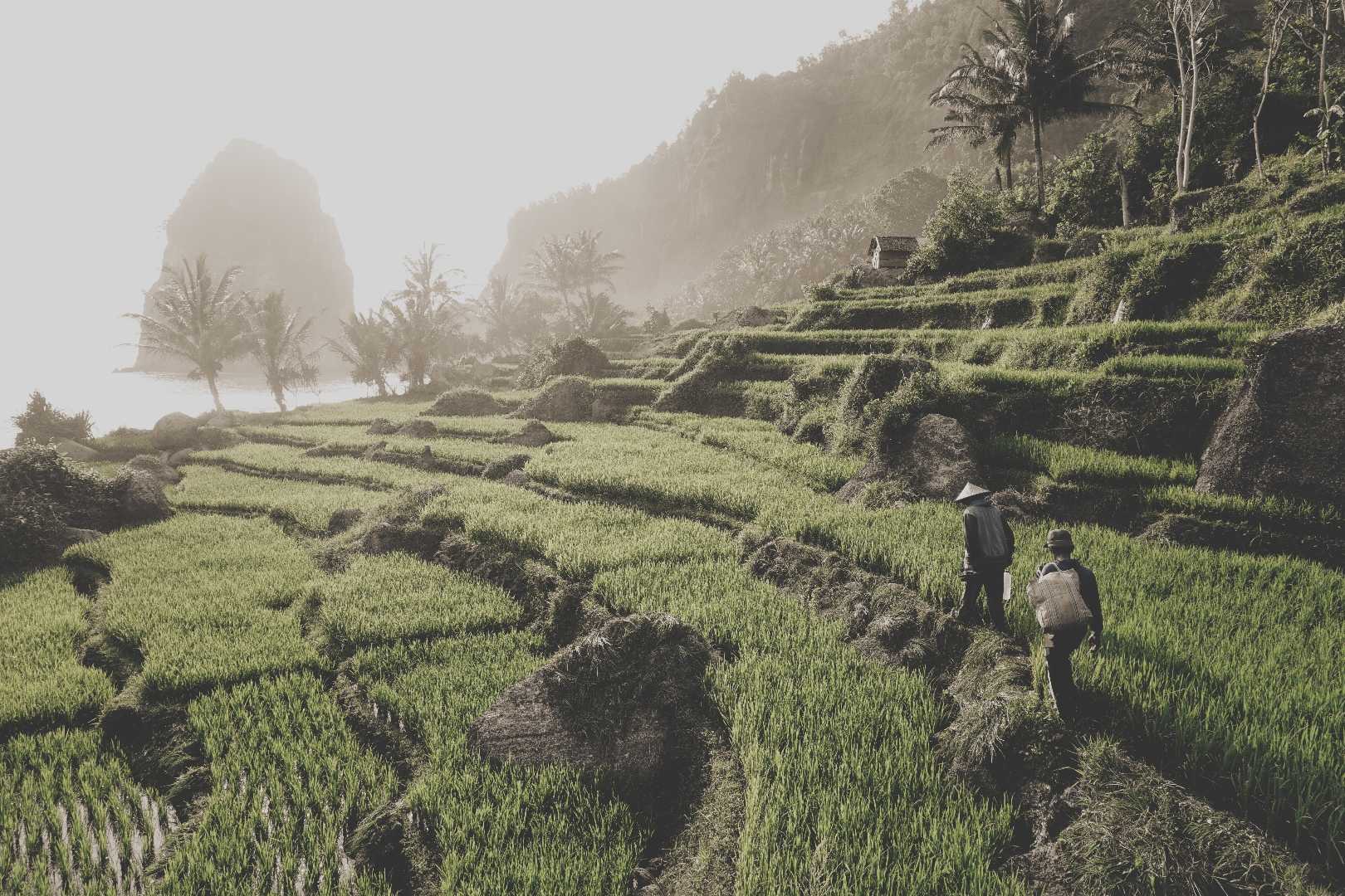 Pangasan Beach, Pacitan - East Java