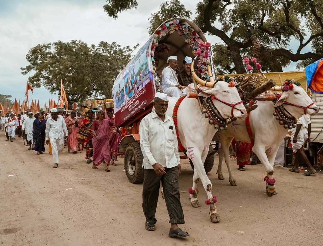 wari pandharpur festival