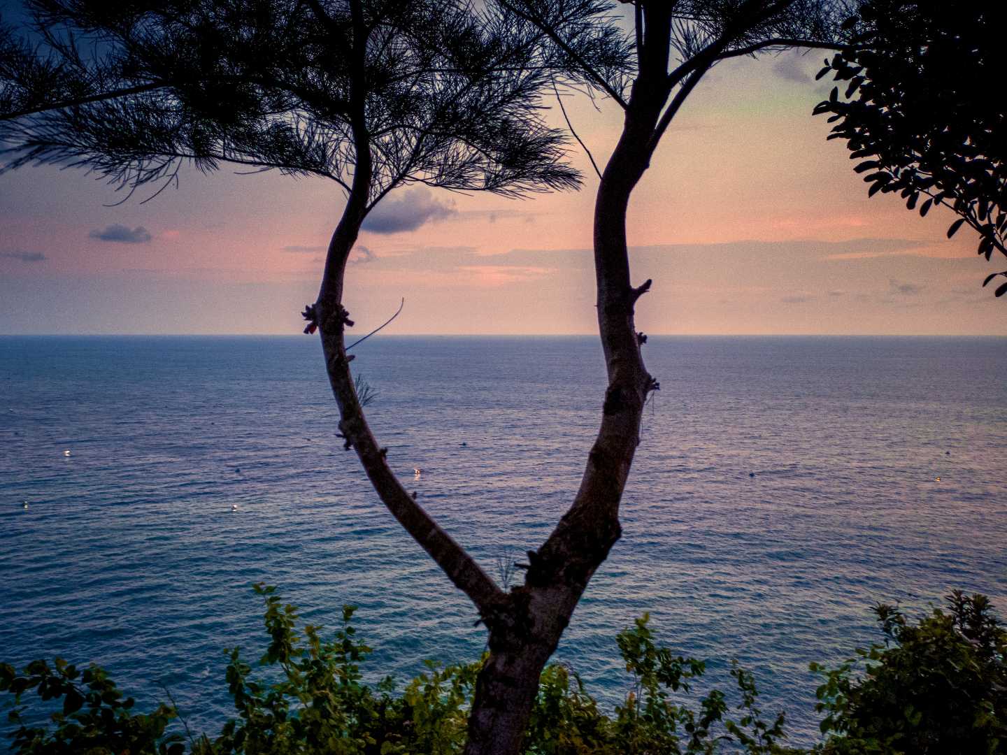 senja