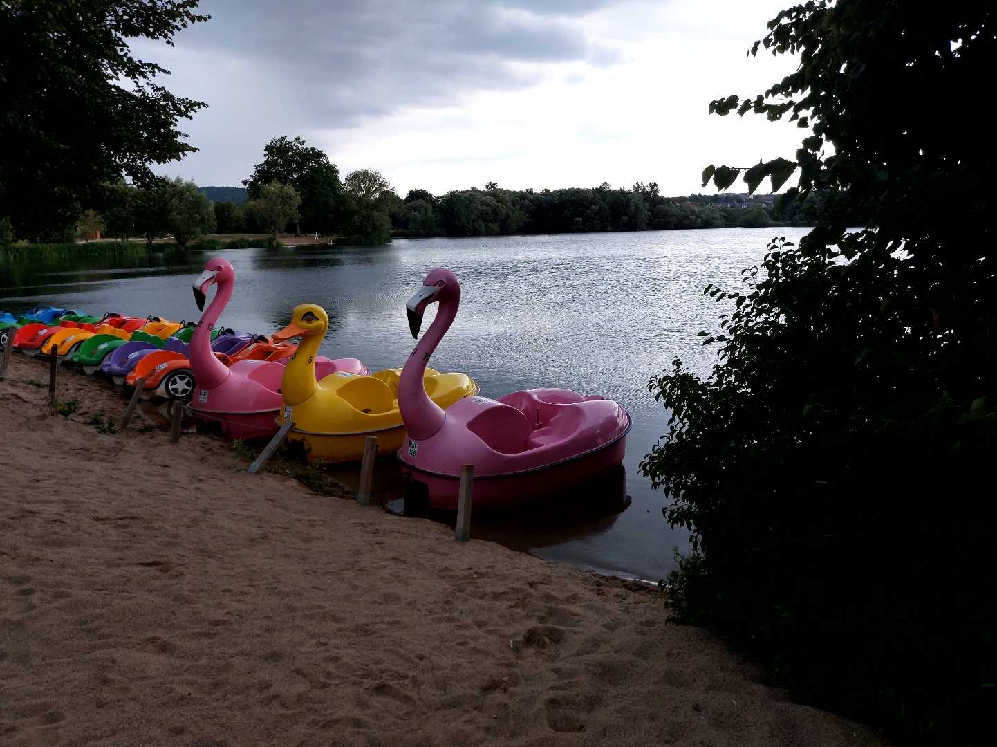 Ortswiesensee 🇩🇪 