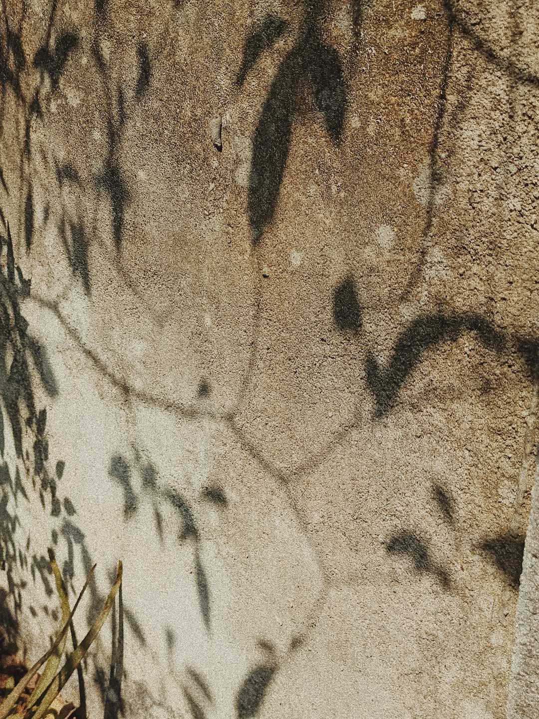 🔆
