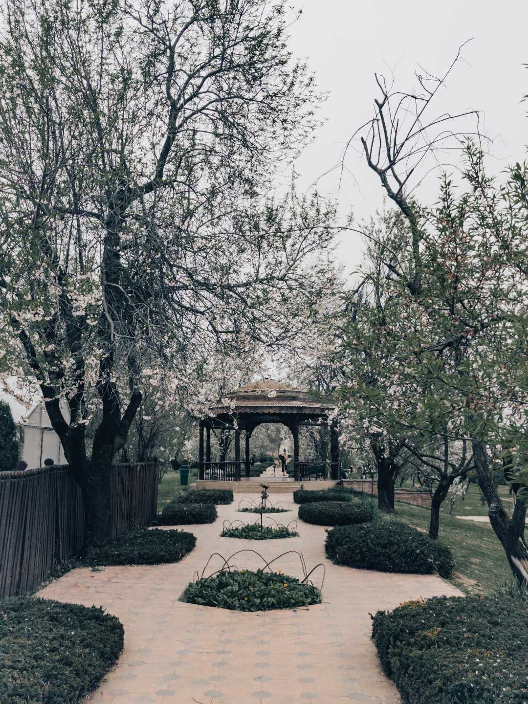 Spring in Kashmir 