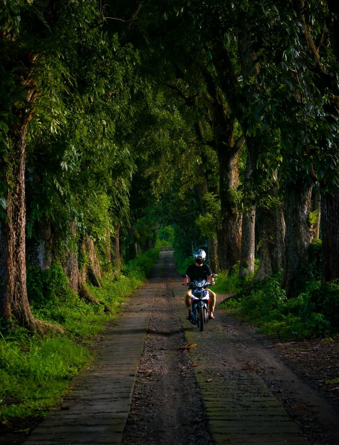 Lorong Mahoni 