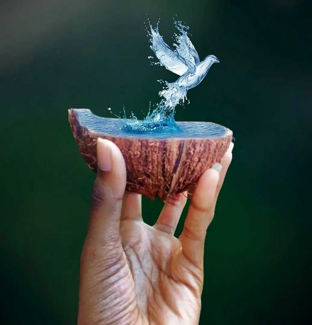 kanhangad