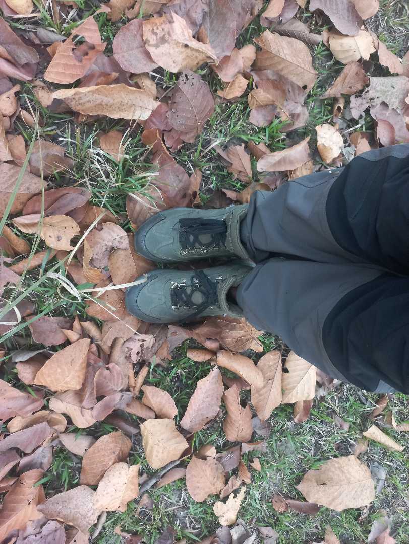 Blessed feet