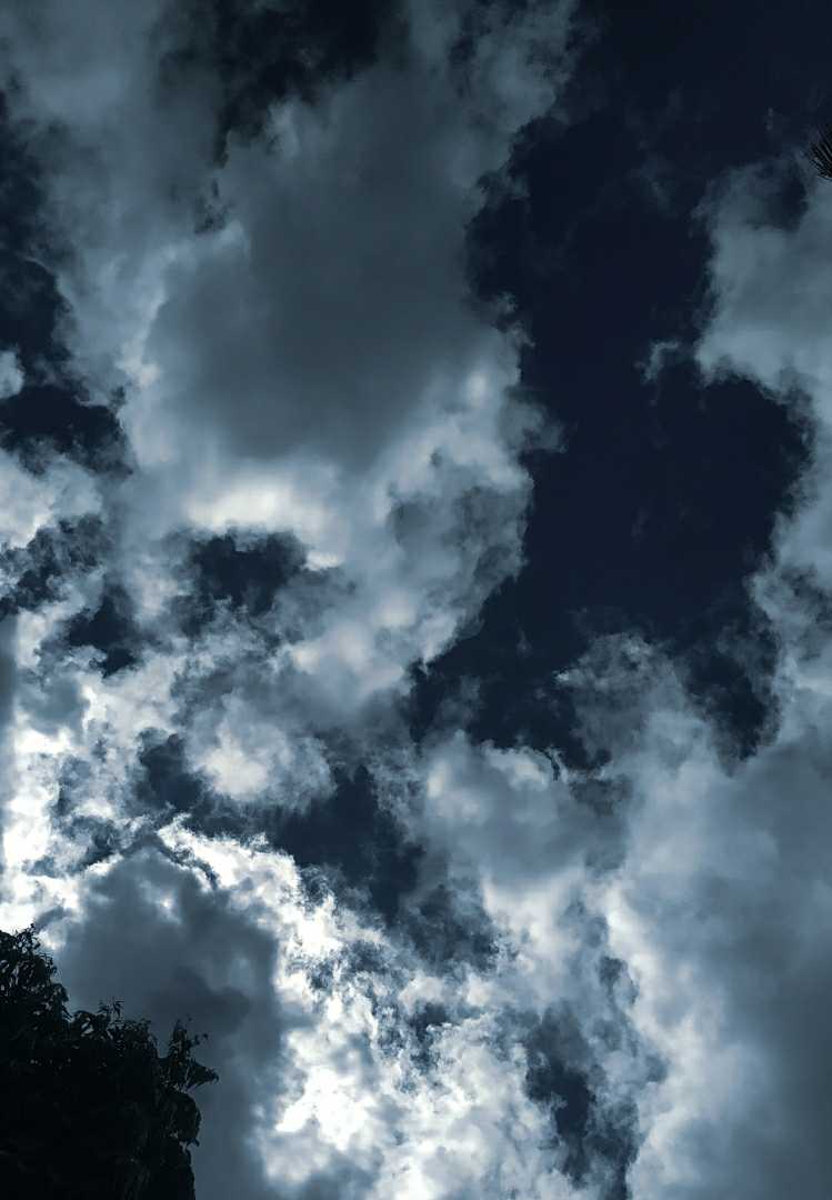 𝐁𝐞𝐚𝐮𝐭𝐲.. ☁