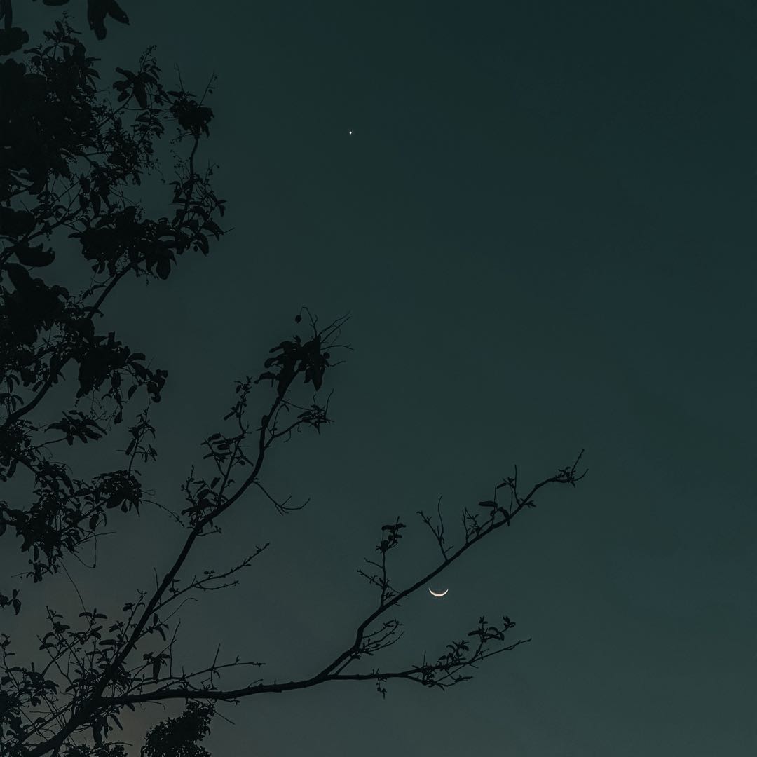 Gaze at the beautiful moon and watch the stars in the inky black sky for eternity😍  #shotoniphone #stars #moon