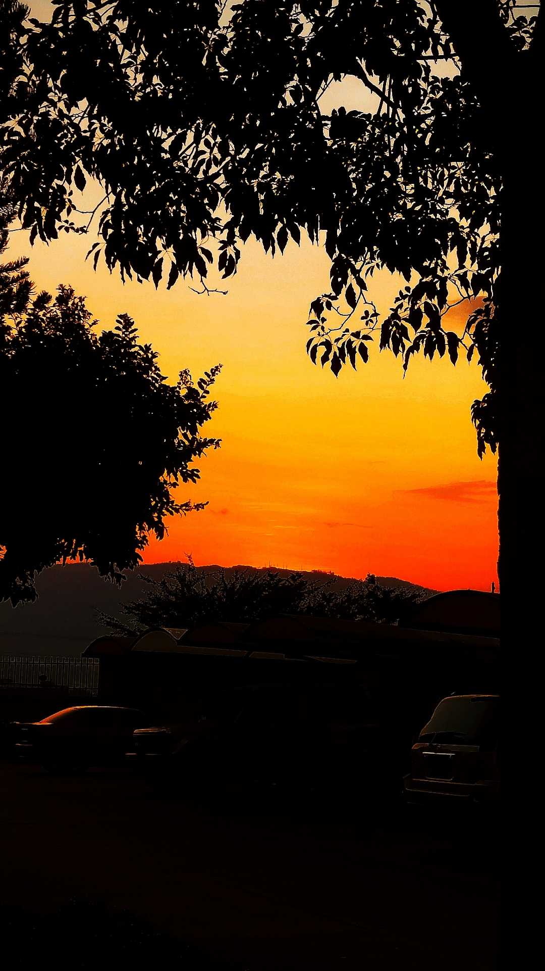 Sunset 💕
