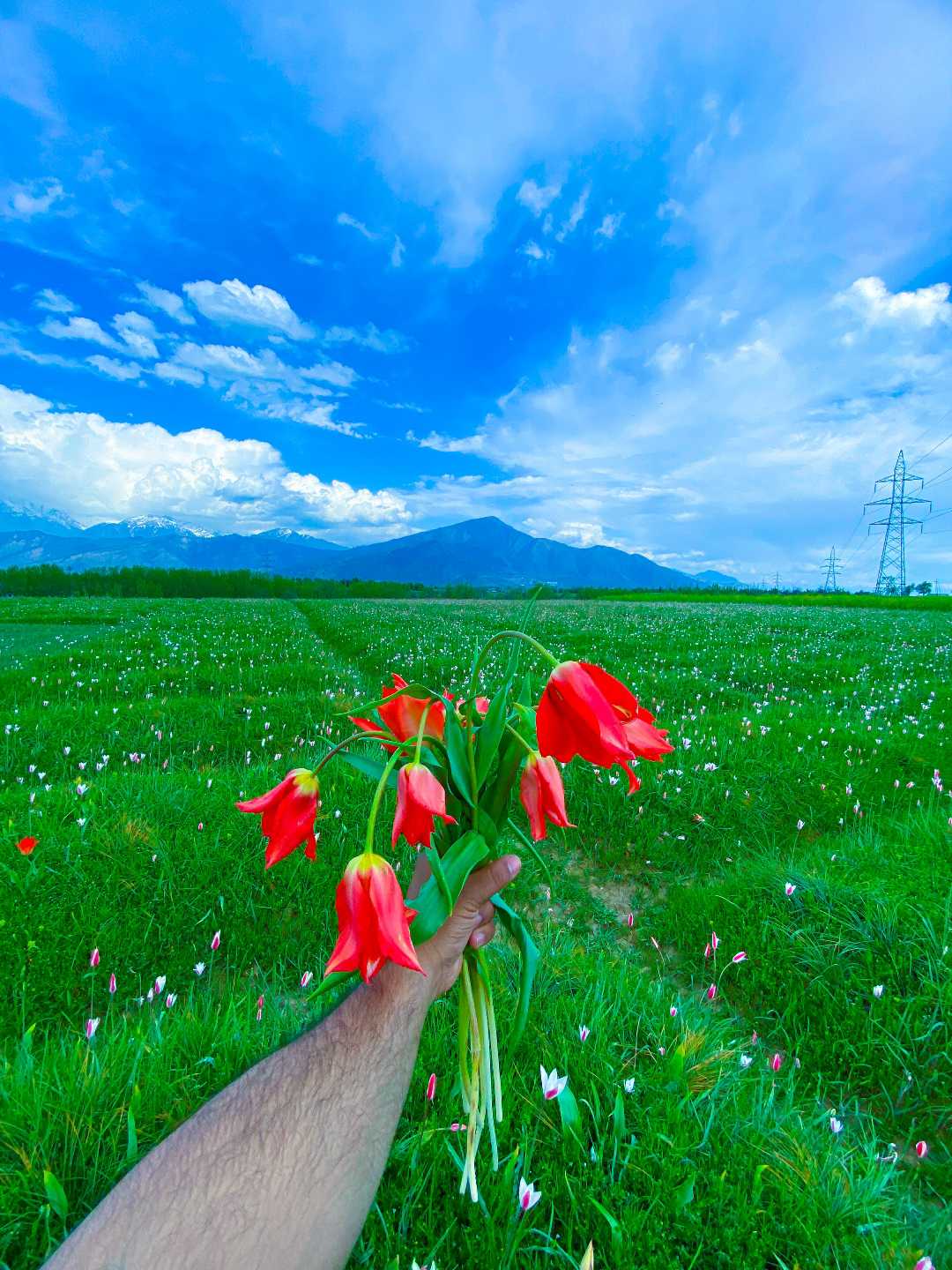 spring 🌱