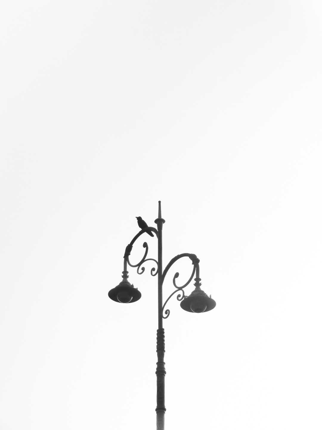 MONOCHROMATIC 