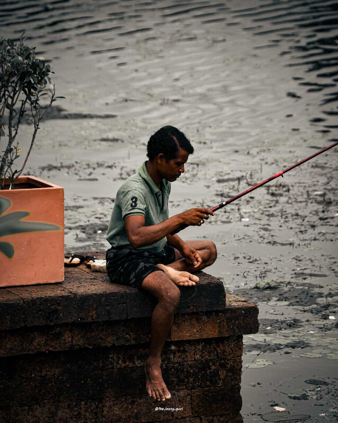 Fish Catcher 🐠📸