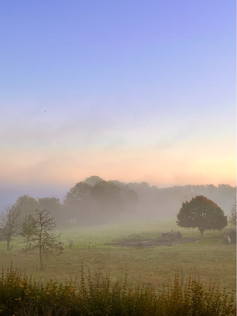 Foggy morning