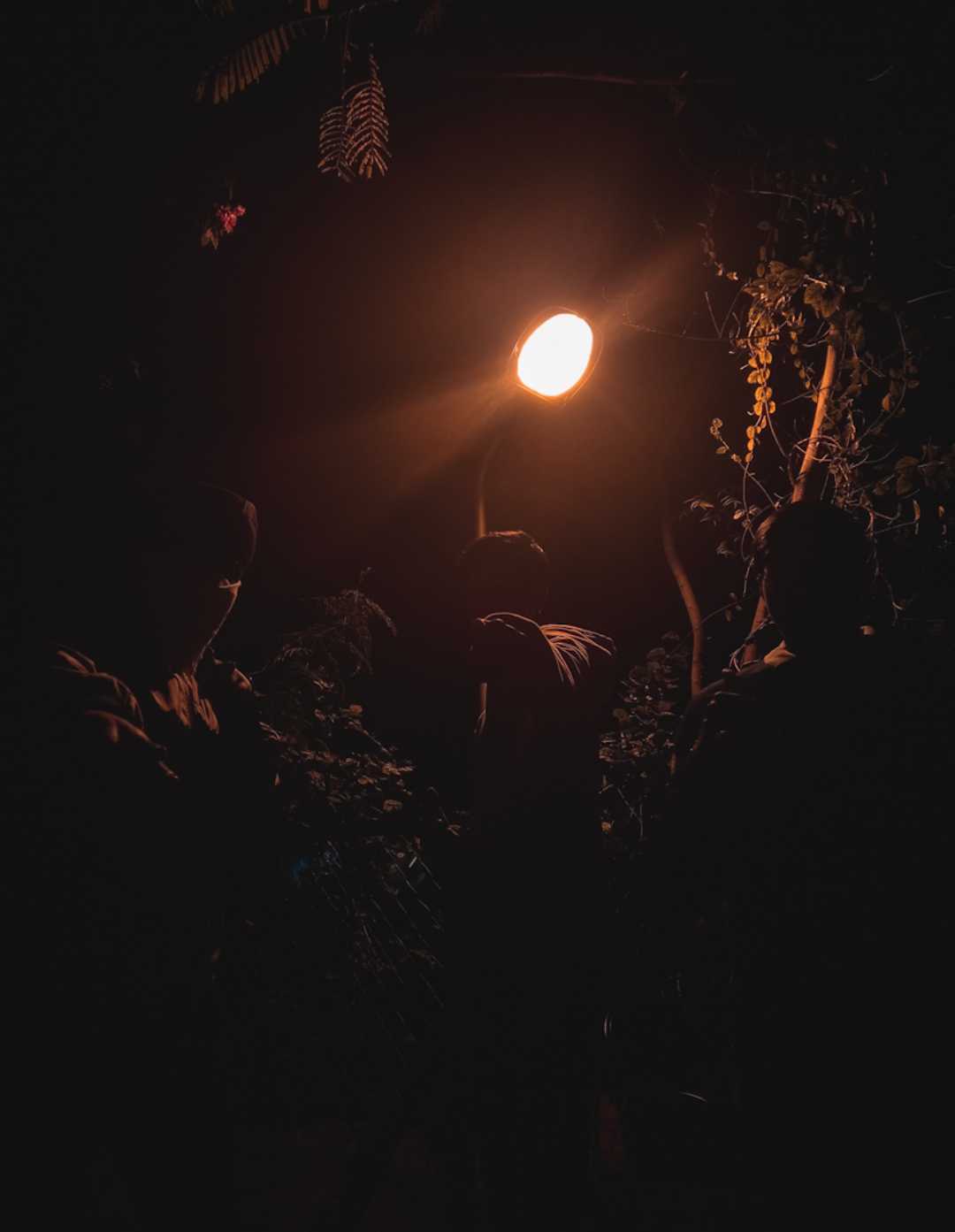 night photography 
