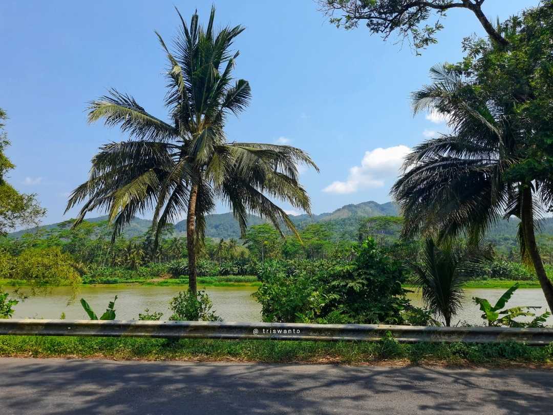 Pemandangan