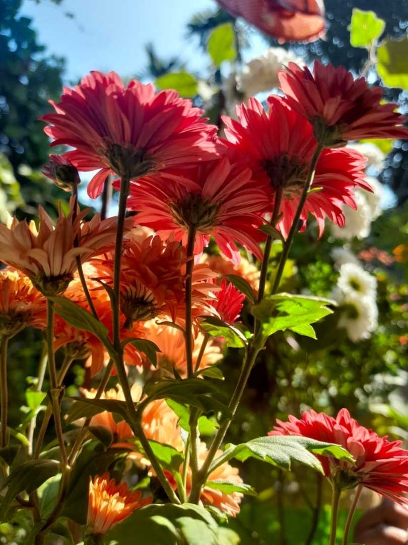 photography 🌷👀